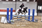 BPP_3954
