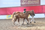 JAC_5054