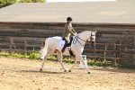 SBM_000528