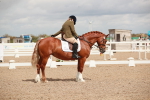SBM_05877