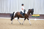 SBM_000902