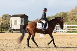 SBM_002440