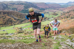 Stybarrow Dodd-524