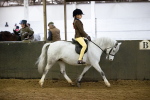 SBM_008939