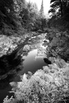 View downstream