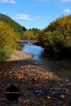 _DSC0704