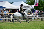 SBM_17475