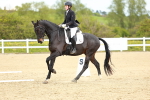 SBM_000833