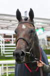 140723-Race 7-Gibside-0787