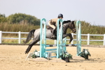 SBM_003038
