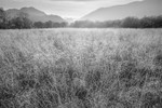 Lake District Light #4