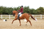 SBM_007652