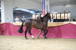 SBM_05080