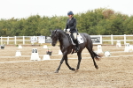 SBM_003982