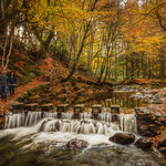 Shimna Stepping Stones
