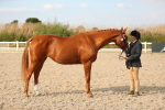 SBM_08603