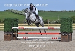 BPP_8154