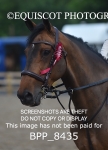 CLASS 1 British Novice / 0.80m Open portfolio