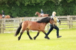 SBM_00458