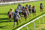 141023-Race 5-Certain Lad-1342