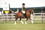 SBM_09534