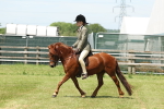 SBM_06838