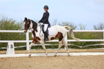 Class 4: Novice 6 2024 portfolio