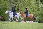 WJ6_1376