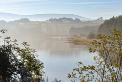 Burgage, Blessington Lake
