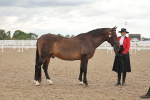 SBM_07646