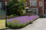 Graham Wiffen - Elmers Court - DSC_0029