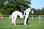 SBM_35320