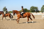 SBM_02239