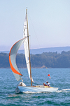 190825 LADY LINDA GBR762 1Y3A2025_Edit