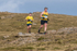 Buttermere-527