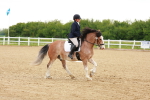 SBM_006444