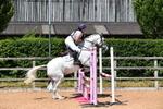 WJ5_8566