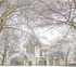 7674 ROBIN IN SNOWY DEANS PARK & YORK MINSTER LIBRARY