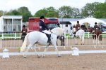 SBM_00284