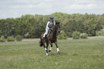 BVHT 140517  NXC -62