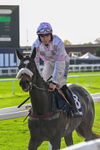 241025-Race 1-French Ship-2261