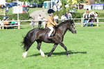 SBM_50362