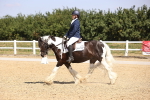 SBM_003753
