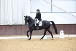 SBM_004604