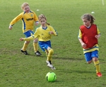 DSC00179