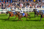 260823-Race 5-Summerghand-Albasheer-0771