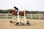 SBM_002909
