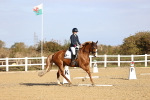 SBM_009075