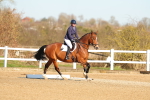SBM_003439