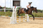 Pendarves Summer Serier Showjumping 27.07.2025 portfolio